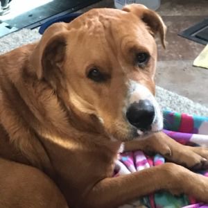 Meet your Posher, Jill